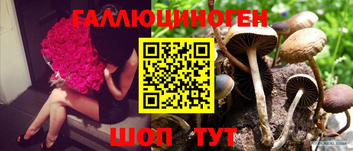 Верхняя Салда  Псилоцибиновые грибы Psilocybe  Вход с VPN  купить наркотик  Галлюциногенные грибы Cubensis 