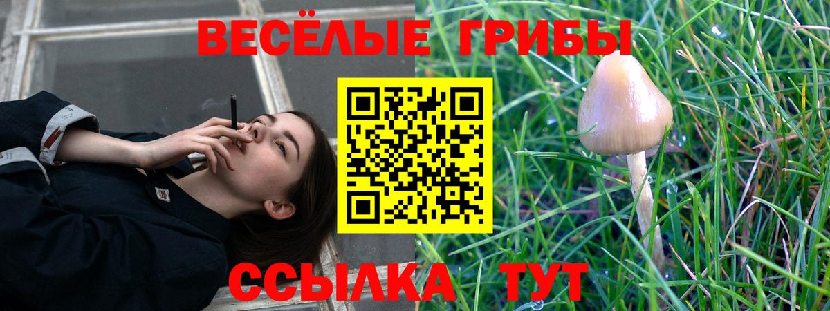 Псилоцибиновые грибы Psilocybe Верхняя Салда